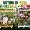 Wholesale vs Retail Plant Buying in India — What Commercial Buyers Need to Know